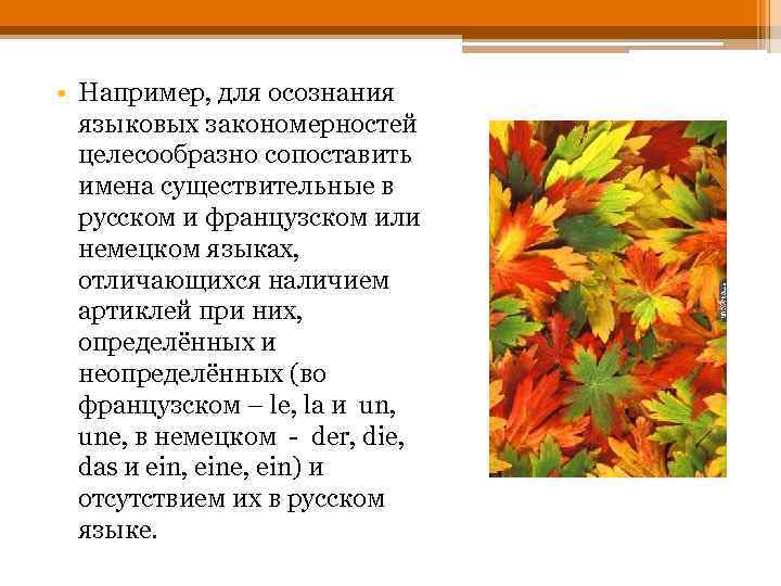  • Например, для осознания языковых закономерностей целесообразно сопоставить имена существительные в русском и