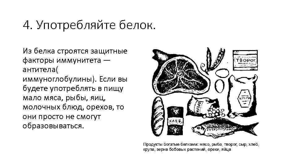 4. Употребляйте белок. Из белка строятся защитные факторы иммунитета — антитела( иммуноглобулины). Если вы