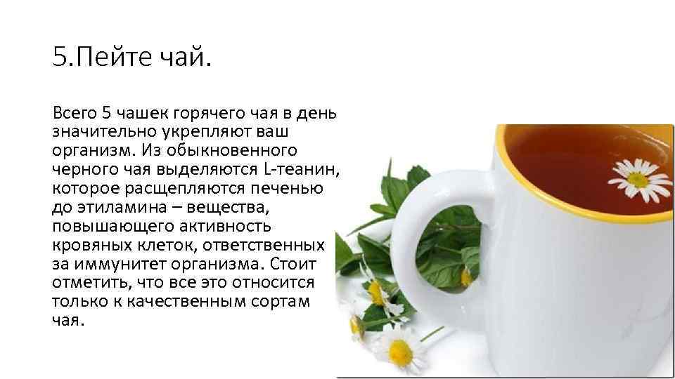 5. Пейте чай. Всего 5 чашек горячего чая в день значительно укрепляют ваш организм.