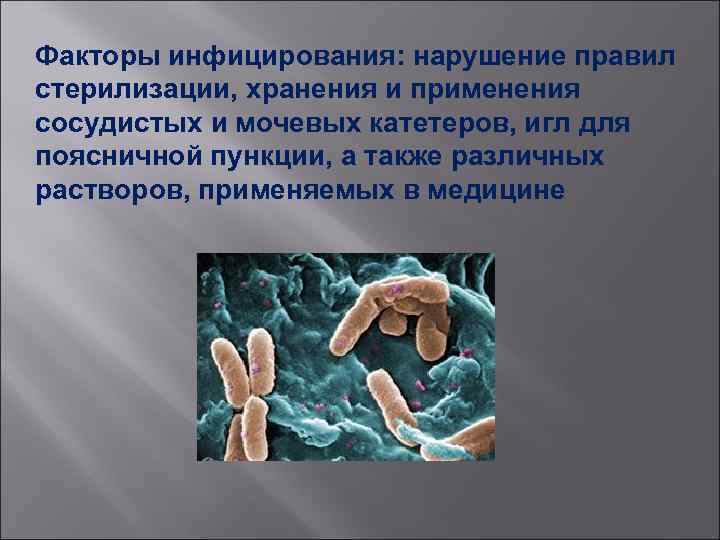 Факторы инфицирования: нарушение правил стерилизации, хранения и применения сосудистых и мочевых катетеров, игл для