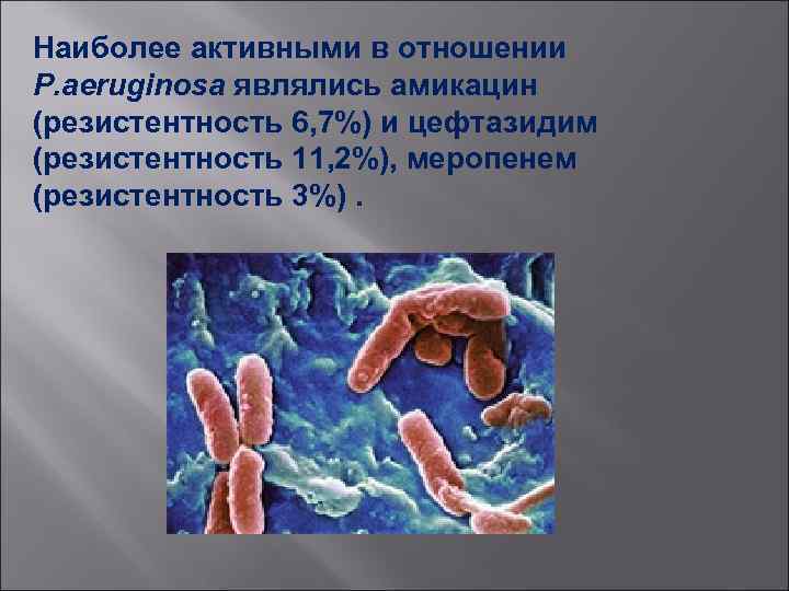 Наиболее активными в отношении P. aeruginosa являлись амикацин (резистентность 6, 7%) и цефтазидим (резистентность