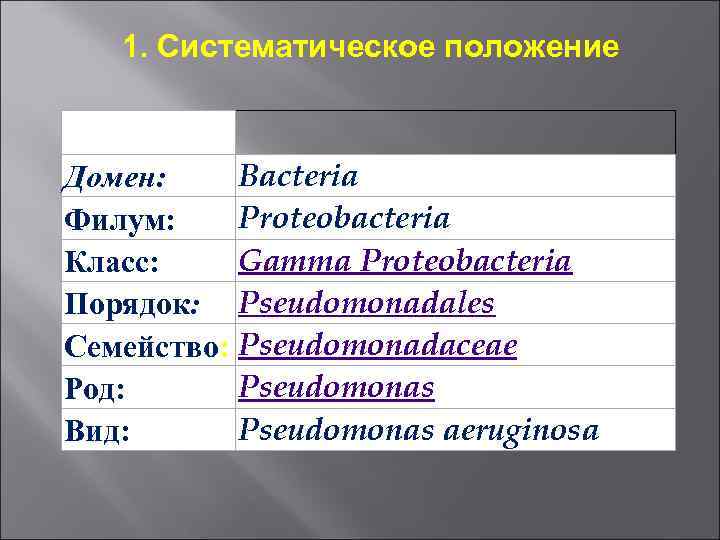 1. Систематическое положение Bacteria Домен: Proteobacteria Филум: Gamma Proteobacteria Класс: Порядок: Pseudomonadales Семейство: Pseudomonadaceae