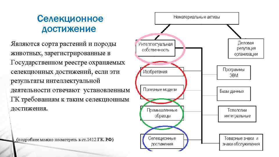 Селекционное достижение Являются сорта растений и породы животных, зарегистрированные в Государственном реестре охраняемых селекционных