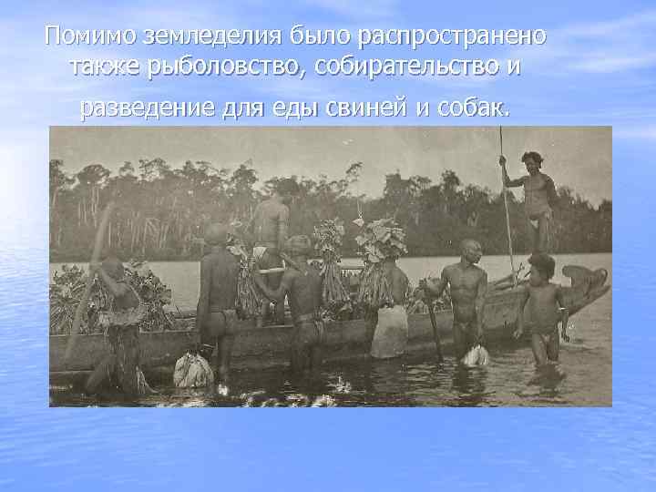 Помимо земледелия было распространено также рыболовство, собирательство и разведение для еды свиней и собак.