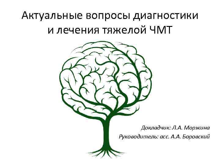 Актуальные вопросы диагностики и лечения тяжелой ЧМТ Докладчик: Л. А. Моржина Руководитель: асс. А.