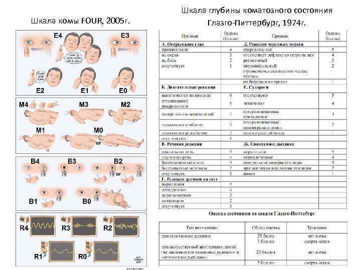 Шкала four калькулятор