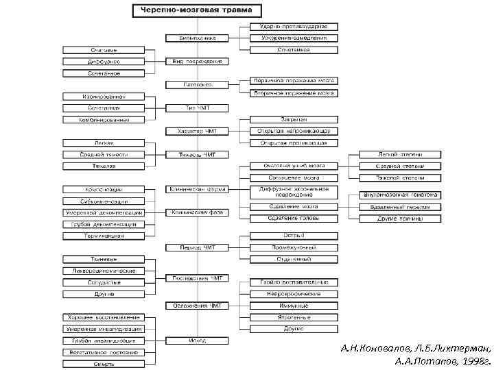 А. Н. Коновалов, Л. Б. Лихтерман, А. А. Потапов, 1998 г. 