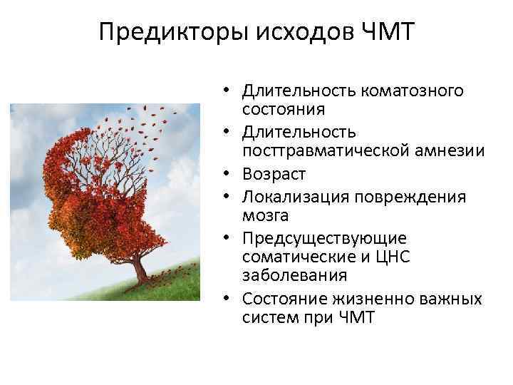 Предикторы исходов ЧМТ • Длительность коматозного состояния • Длительность посттравматической амнезии • Возраст •