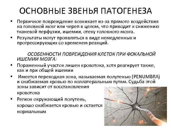 ОСНОВНЫЕ ЗВЕНЬЯ ПАТОГЕНЕЗА • Первичное повреждение возникает из-за прямого воздействия на головной мозг или