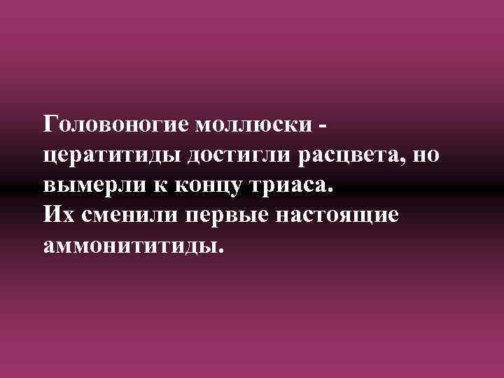 Головоногие моллюски цератитиды достигли расцвета, но вымерли к концу триаса. Их сменили первые настоящие