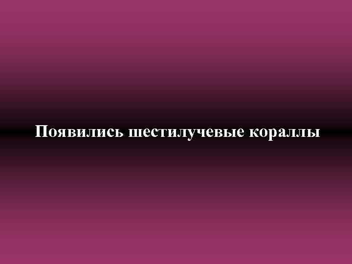 Появились шестилучевые кораллы 