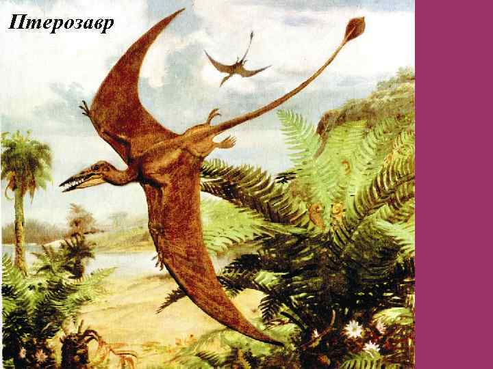 Птерозавр 
