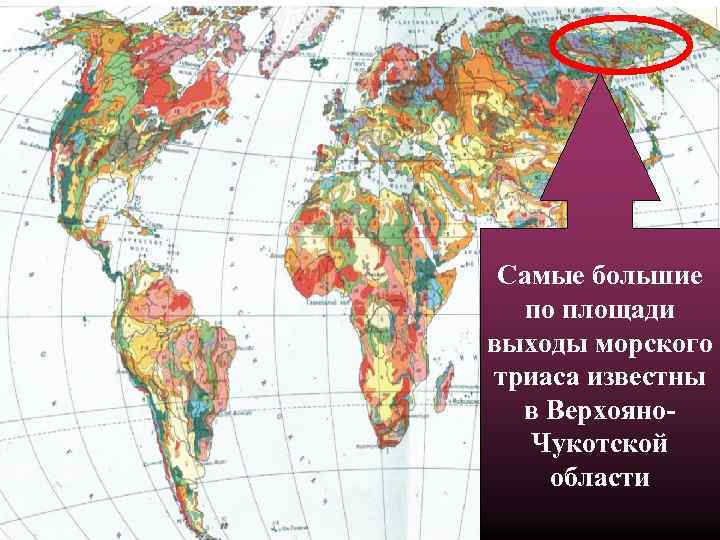 Самые большие по площади выходы морского триаса известны в Верхояно. Чукотской области 