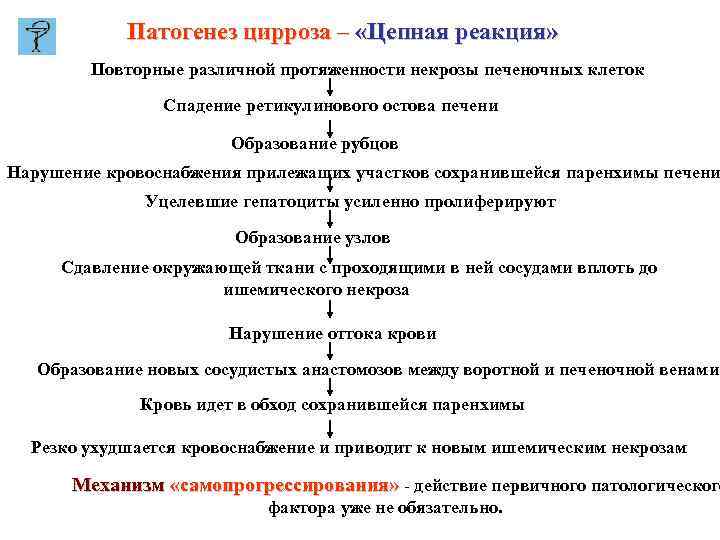 Патогенез цирроза – «Цепная реакция» Повторные различной протяженности некрозы печеночных клеток Спадение ретикулинового остова