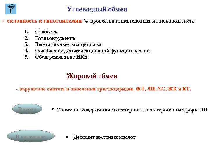 Углеводный обмен - склонность к гипогликемии (⇓ процессов гликогенолиза и глюконеогенеза) 1. 2. 3.