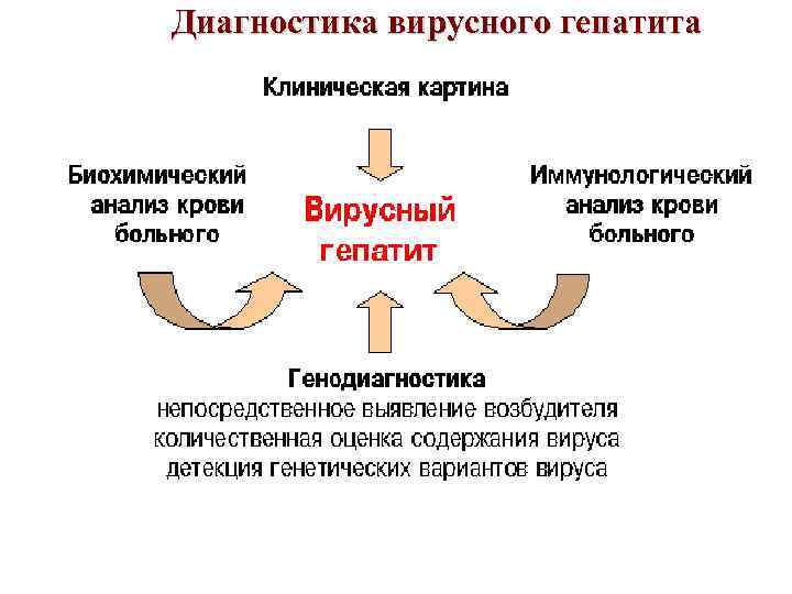 Диагностика вирусного гепатита 