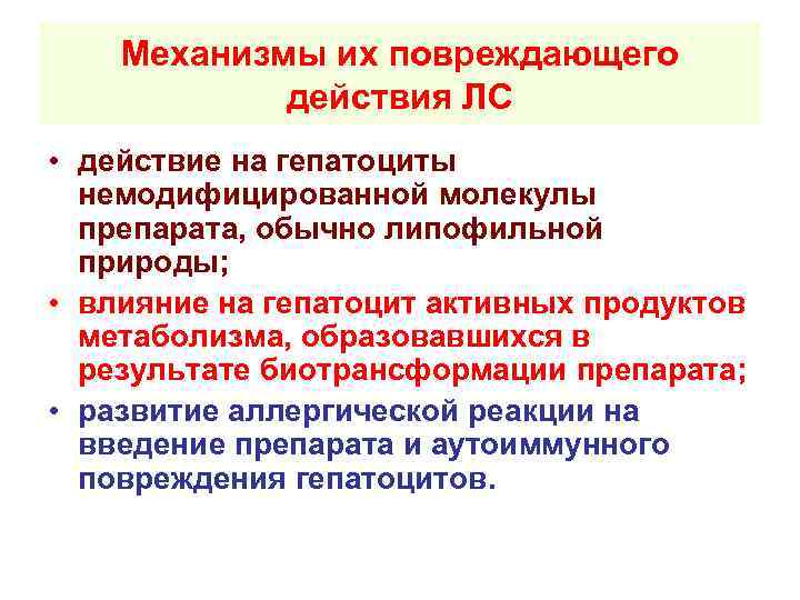 Механизмы их повреждающего действия ЛС • действие на гепатоциты немодифицированной молекулы препарата, обычно липофильной