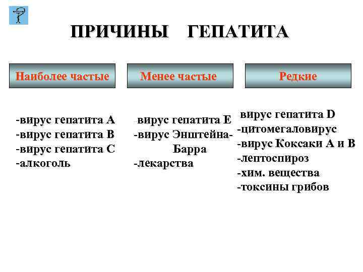 ПРИЧИНЫ ГЕПАТИТА Наиболее частые -вирус гепатита А -вирус гепатита В -вирус гепатита С -алкоголь