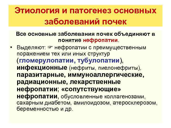 Этиология и патогенез основных заболеваний почек Все основные заболевания почек объединяют в понятие нефропатии.