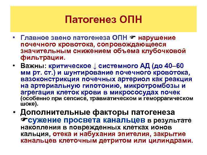 Патогенез ОПН • Главное звено патогенеза ОПН нарушение почечного кровотока, сопровождающееся значительным снижением объема
