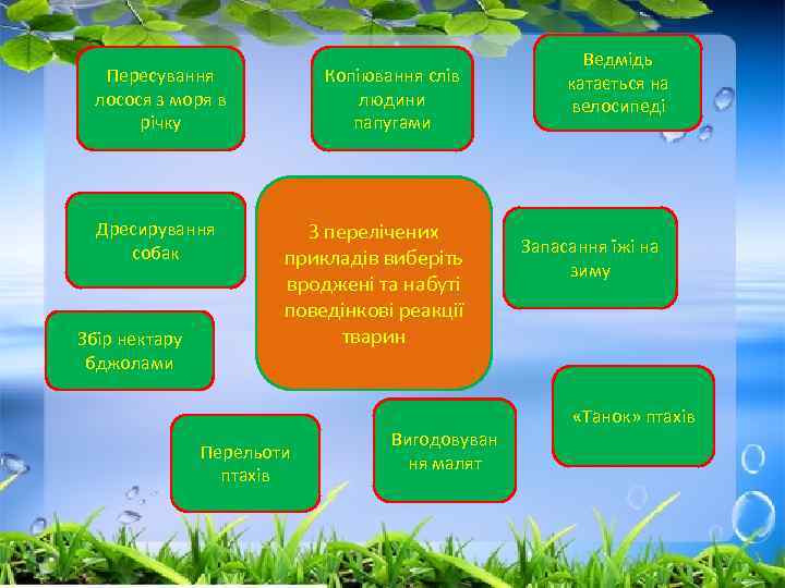 Пересування лосося з моря в річку Дресирування собак Збір нектару бджолами Копіювання слів людини