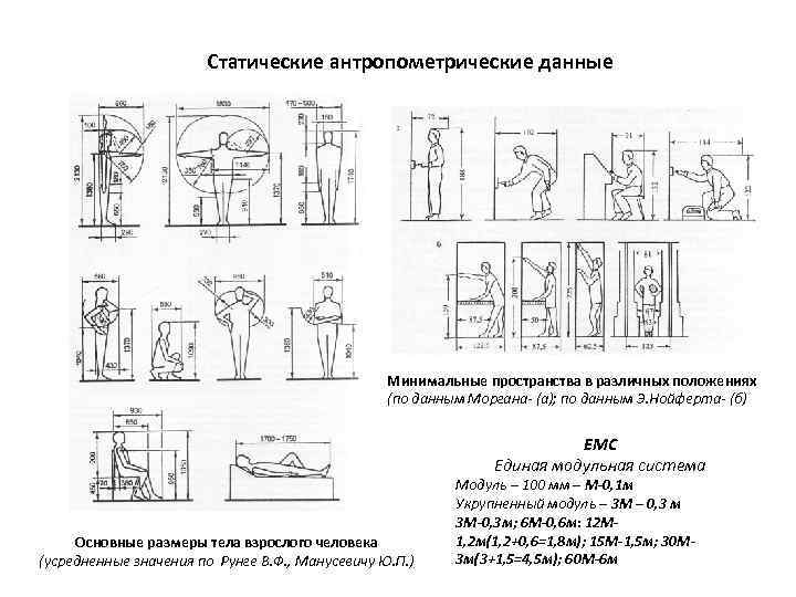 Эргономические схемы музея