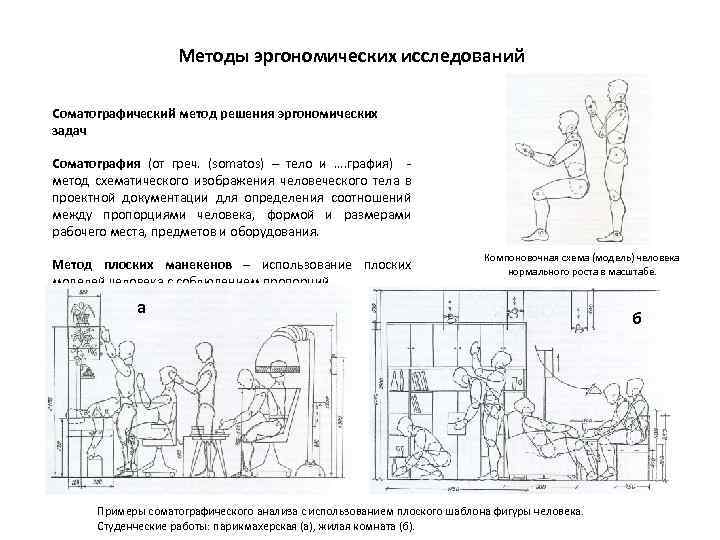 Методы эргономических исследований Соматографический метод решения эргономических задач Соматография (от греч. (somatos) – тело