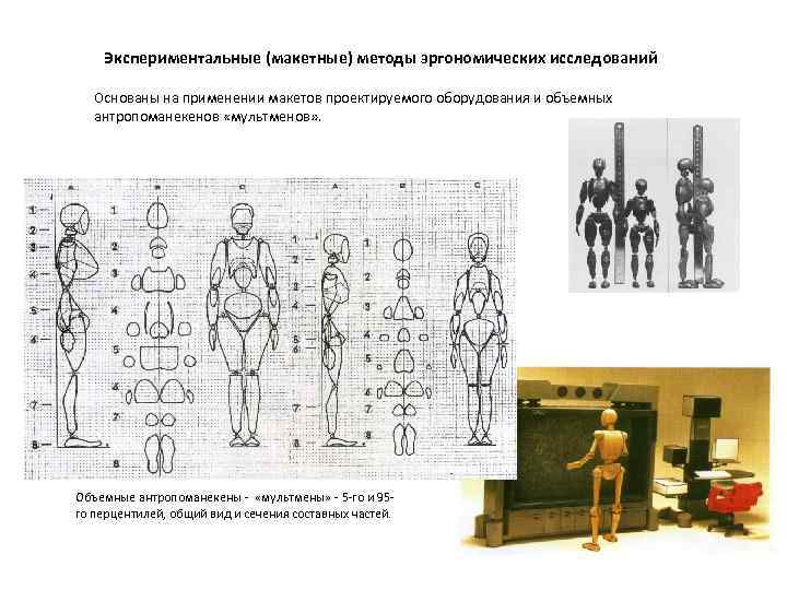 Экспериментальные (макетные) методы эргономических исследований Основаны на применении макетов проектируемого оборудования и объемных антропоманекенов