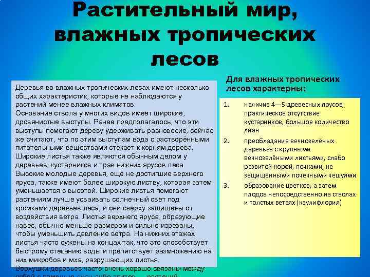 Растительный мир, влажных тропических лесов Деревья во влажных тропических лесах имеют несколько общих характеристик,