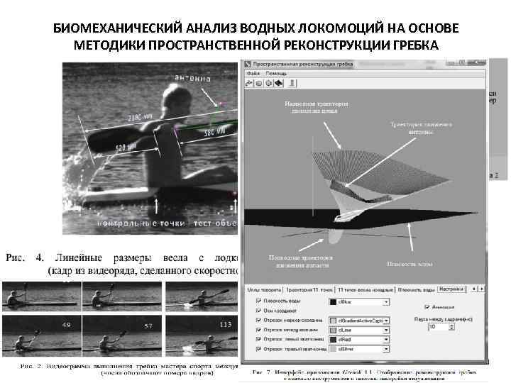 БИОМЕХАНИЧЕСКИЙ АНАЛИЗ ВОДНЫХ ЛОКОМОЦИЙ НА ОСНОВЕ МЕТОДИКИ ПРОСТРАНСТВЕННОЙ РЕКОНСТРУКЦИИ ГРЕБКА 