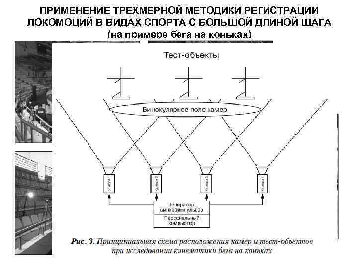 ПРИМЕНЕНИЕ ТРЕХМЕРНОЙ МЕТОДИКИ РЕГИСТРАЦИИ ЛОКОМОЦИЙ В ВИДАХ СПОРТА С БОЛЬШОЙ ДЛИНОЙ ШАГА (на примере