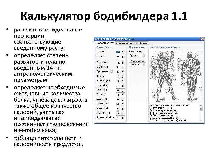 Калькулятор бодибилдера 1. 1 • рассчитывает идеальные пропорции, соответствующие введенному росту; • определяет степень