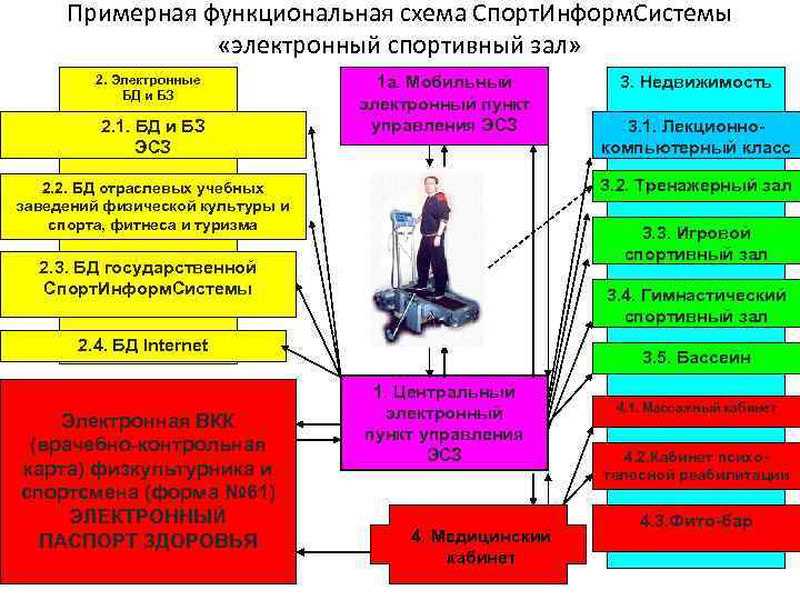 Примерная функциональная схема Спорт. Информ. Системы «электронный спортивный зал» 2. Электронные БД и БЗ