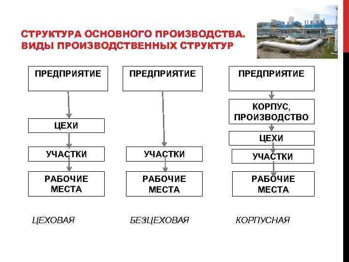 СТРУКТУРА ОСНОВНОГО ПРОИЗВОДСТВА. ВИДЫ ПРОИЗВОДСТВЕННЫХ СТРУКТУР ПРЕДПРИЯТИЕ КОРПУС, ПРОИЗВОДСТВО ЦЕХИ УЧАСТКИ РАБОЧИЕ МЕСТА ЦЕХОВАЯ