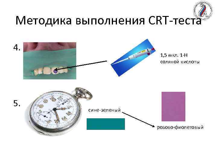 Методика выполнения CRT-теста 4. 5. 1, 5 мкл. 1 -Н соляной кислоты сине-зеленый розово-фиолетовый