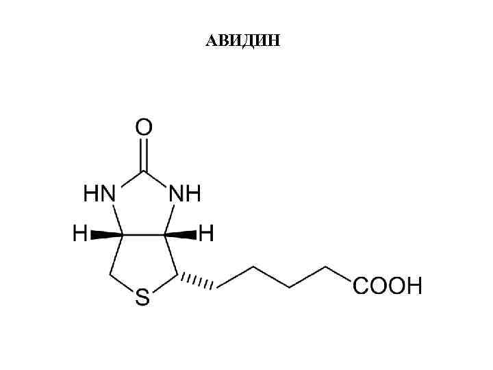 АВИДИН 