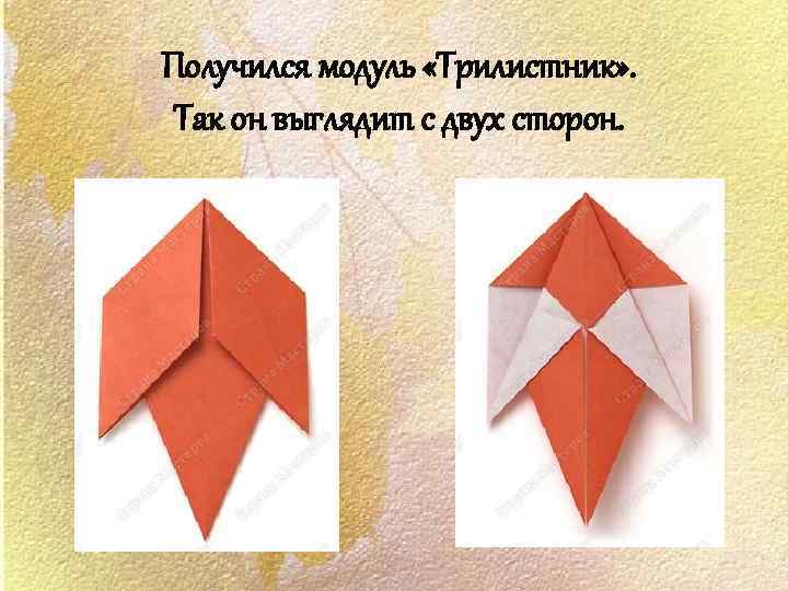 Получился модуль «Трилистник» . Так он выглядит с двух сторон. 