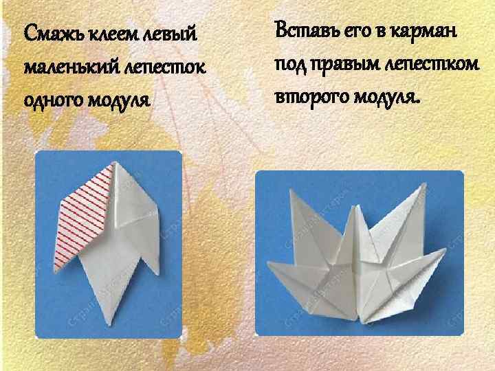 Смажь клеем левый маленький лепесток одного модуля Вставь его в карман под правым лепестком