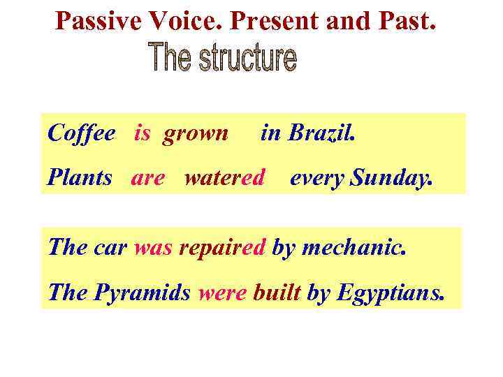 Passive Voice. Present and Past. Coffee is grown in Brazil. Plants are watered every