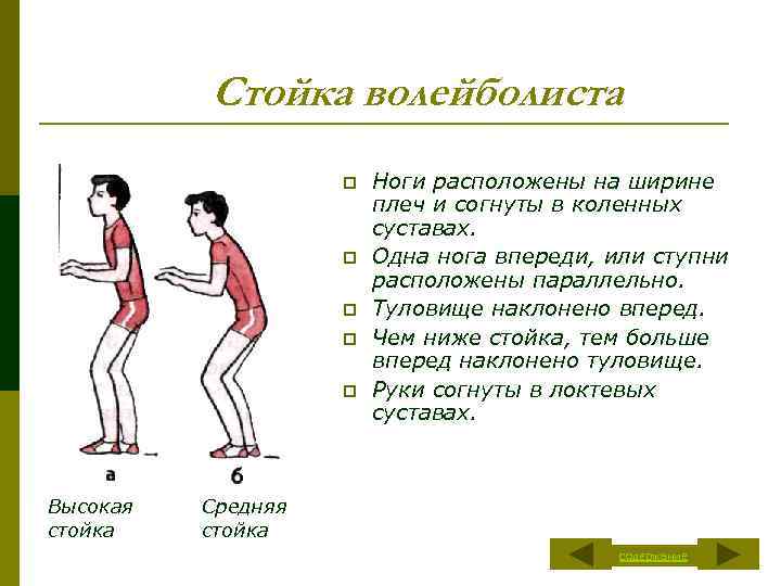 Стойка волейболиста p p p Высокая стойка Ноги расположены на ширине плеч и согнуты