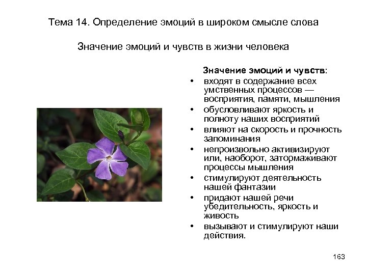 Тема 14. Определение эмоций в широком смысле слова Значение эмоций и чувств в жизни