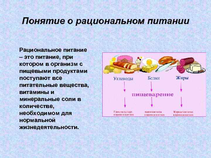Понятие о рациональном питании Рациональное питание – это питание, при котором в организм с