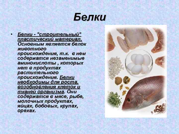 Белки • Белки - 