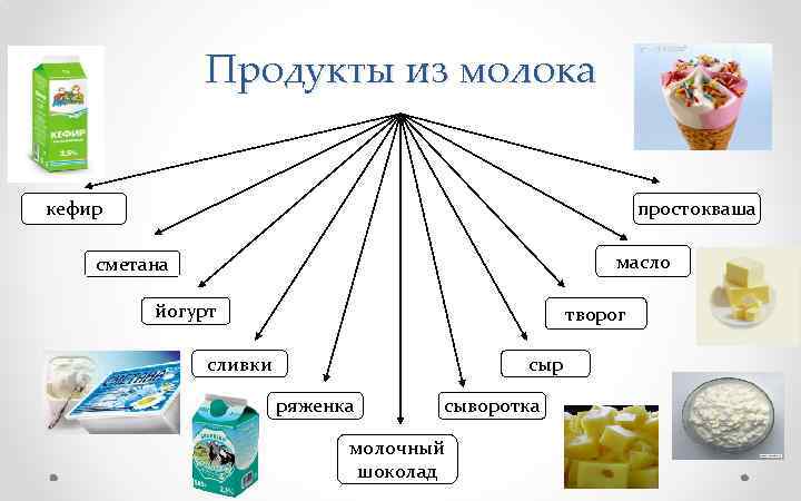 Продукты из молока кефир простокваша масло сметана йогурт творог сливки сыр ряженка сыворотка молочный