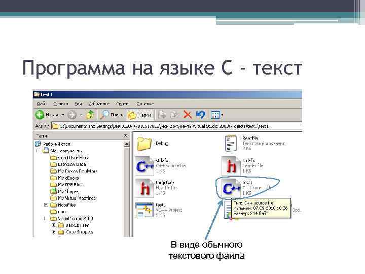Программа на языке C - текст В виде обычного текстового файла 