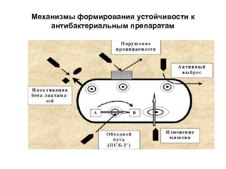 Механизмы устойчивости