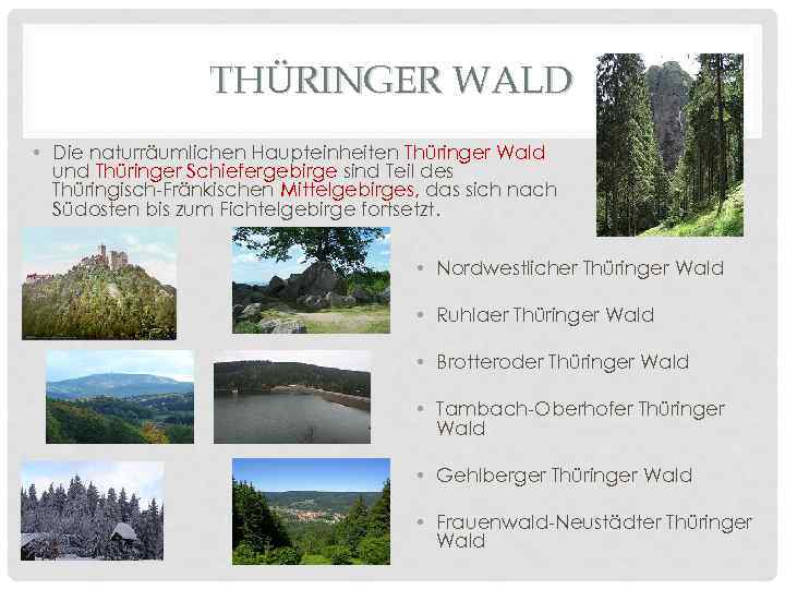 THÜRINGER WALD • Die naturräumlichen Haupteinheiten Thüringer Wald und Thüringer Schiefergebirge sind Teil des