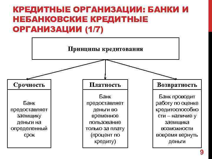 Небанковские организации функции