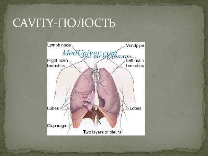 CAVITY-ПОЛОСТЬ 