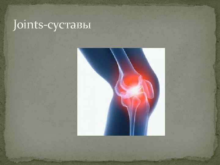 Joints-суставы 